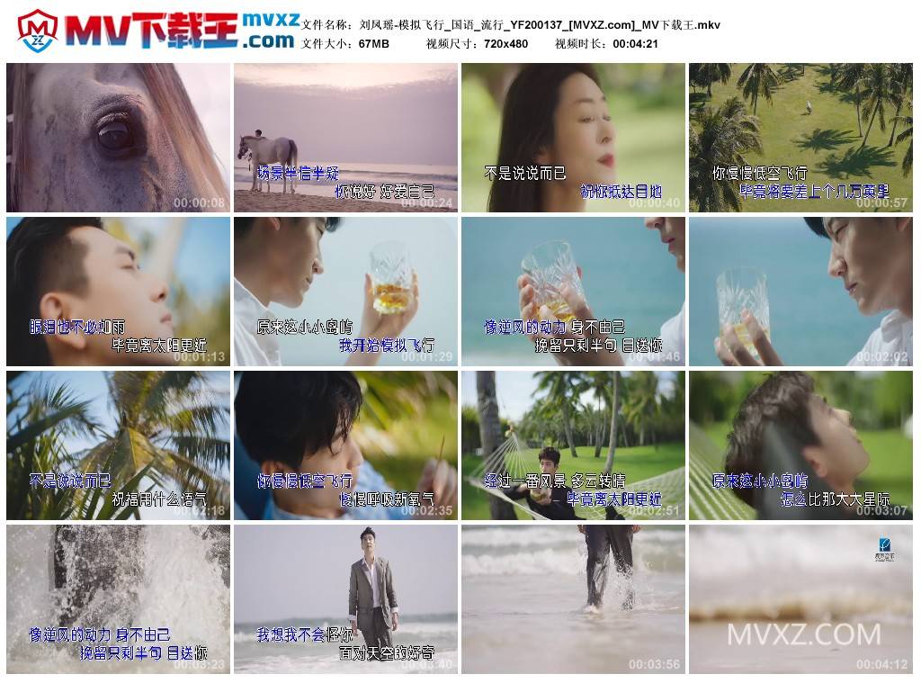 刘凤瑶-模拟飞行_国语_流行_YF200137